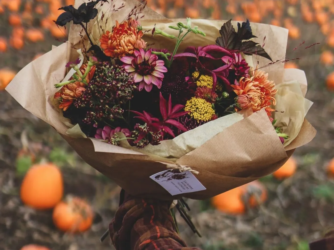 A seasonal bouquet wrapped in brown paper, tagged Laurenne Hopkins Flowers, held in a pumpkin field